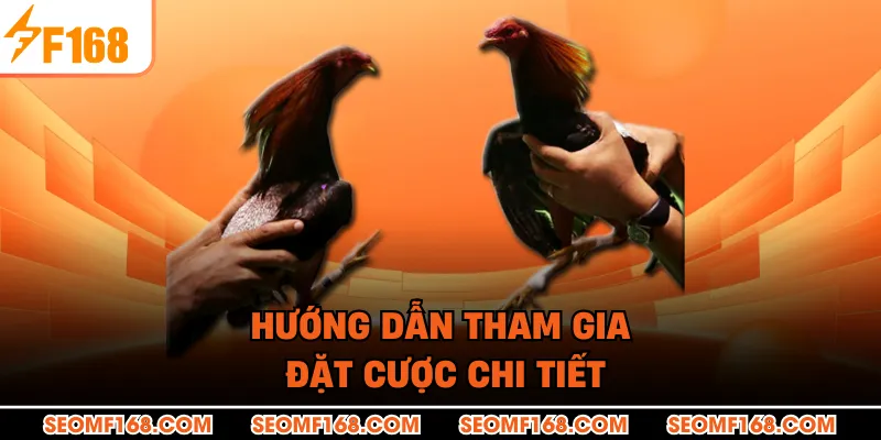 Hướng dẫn tham gia đặt cược chi tiết