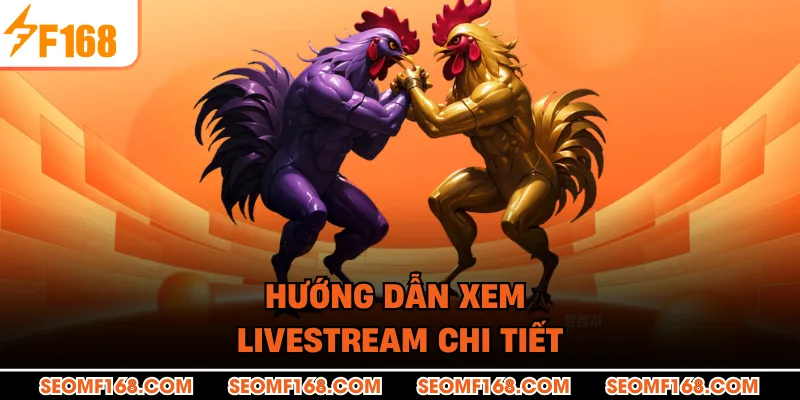 Hướng dẫn xem livestream chi tiết